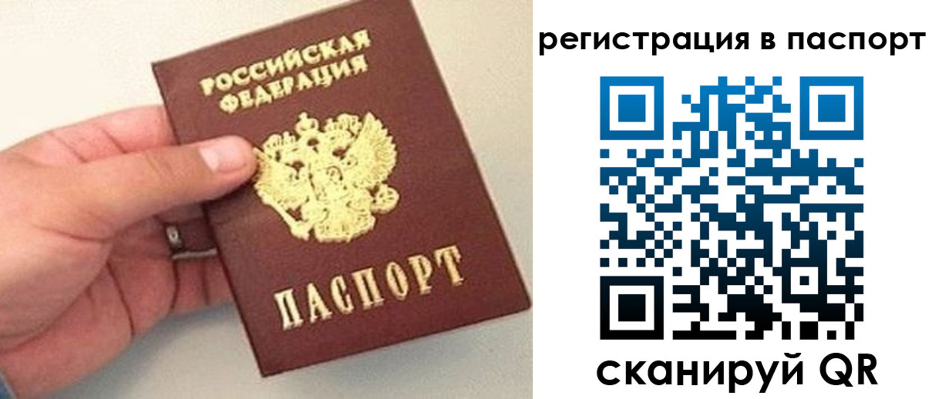 прописка законно в Павловске